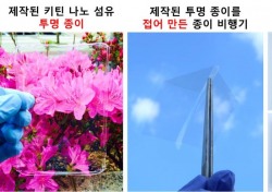 울산대-KAIST 공동연구팀, 오징어 폐기물로 생체친화성 ‘투명종이’ 개발 성공