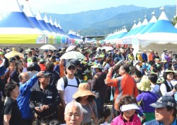 영주 풍기인삼축제 오시면 천년건강 덤으로 드립니다.