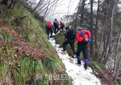 울릉도 성인봉 등산나선 50대 남성 숨진 채 발견