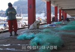 오늘 춘분,울릉도가 전하는 봄소식