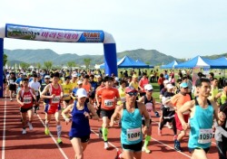 고령 대가야마라톤대회 전국 건각들 700여명 참가