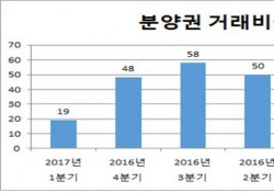 대구아파트 시장, 분양권 거래 비중 급감