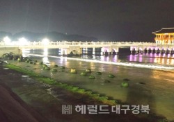포항설머리 물회지구 경북 최초 '착한거리' 탄생