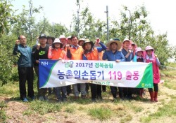 경북농협 임직원, 휴일봉사 구슬땀 우박 피해 현장속으로..