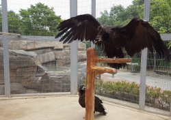 안전 확보한 울산대공원 동물원, 3일부터 재개장