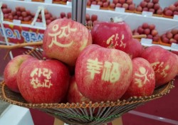 ‘사과는 역시 영주사과가 최고여’ 2017 영주사과축제 성료
