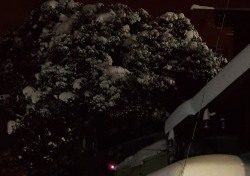 [포토뉴스]폭설에 끊긴 버스, 눈 덮인 섬마을 버스승강장