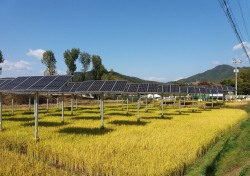 한국수력원자력, 영농병행 태양광발전 시스템 특허 획득