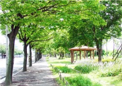 포항시“Green-Way 도시 숲” 미세먼지 저감효과 톡톡