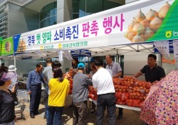 경북농협, 금요직거래장터서 햇 양파 소비촉진 할인판매행사 개최
