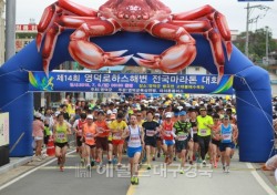 '제14회 영덕로하스해변 전국마라톤대회' 개최