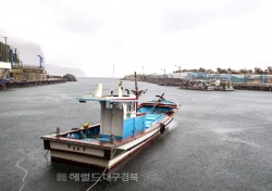 [포토뉴스]태풍북상에 피항한 어선