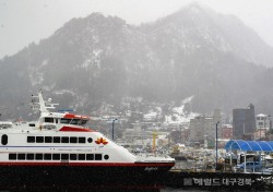 [헤럴드 포토]눈 내리는 항구, 발 묶인 여객선