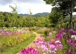 국립백두대간수목원, 쉬엄쉬엄 즐기는 900평 규모 '휴가든' 조성