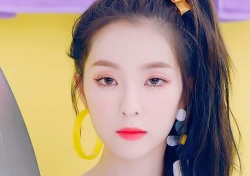 아이린 미모+진행력, 만능연예인의 증명 (ft.2019 KBS 가요대축제)