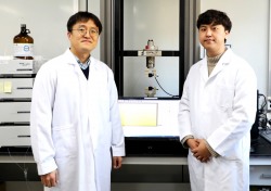 DGIST 박치영 교수팀, 초음파·마찰전기에 반응해 약물 주입하는 '스마트 패치' 개발