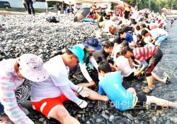 울릉도 오징어축제 경상북도지원 육성축제 선정