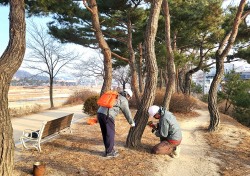 시가지 가로수 튼튼하게...영주시  5000여 그루 수간주사로 방제작업 나서