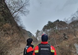 임산물 생산철맞아 불법행위 특별단속…영주국유림관리소 5월31일까지 단속나서