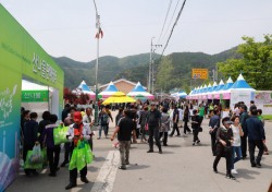 영양산나물축제, 3년만에 5월 12일 오프라인 개막