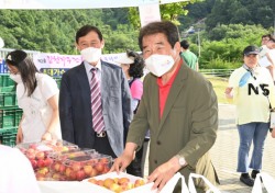 3년만에 열린 김천자두축제 ‘성황’…3만5천여 명 발길