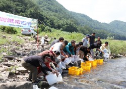 영양군, 내수면 토속 어족자원 보호 치어방류