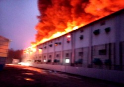 의성군 다인면 돼지 축사 불…3천700여마리 돼지 폐사