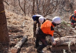 영덕군, 2024년 춘기 소나무재선충병 방제사업 총력…송이 산 보호 적극 나서