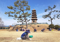 의성군, 올해 노인일자리 사업 본격화…30곳 2499명 참여