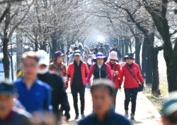 건강위해 걷자…영주시, 설레는 새봄맞이 꽃 따라 걸어, 봄’ 걷기 챌린지 운영