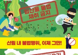 산림 내 불법행위 꼼짝마…울진군 특별단속 팔걷어