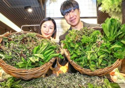 섬과 산을 맛보다‥현대백화점서 만나는 울릉도 명이·삼나물 봄철입맛에 최고