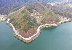 벚꽃 엔딩 아쉽다면 봉화로 오세요…물야 저수지 13일 벚꽃 절정