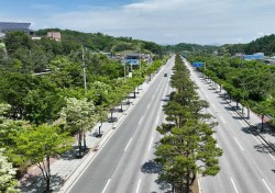 영주 서원로 '산림청 우수 관리 가로수길' 선정