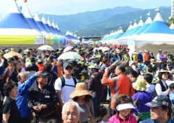 2024영주 풍기인삼축제 성공개최를 위한 상황보고회 개최