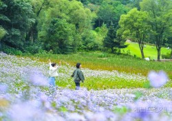 추석연휴 국립백두대간수목원등 국립수목원 3곳  무료 개방