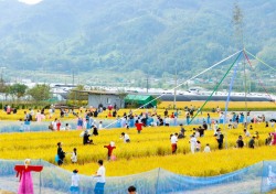 2024 성주가야산황금들녘메뚜기축제 '성료'