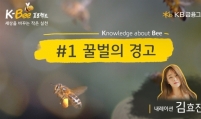 KB raises awareness of saving bees for World Environment Day