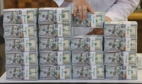 Foreign reserves see sharpest fall since financial crisis