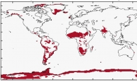 Irreversible climate changes expected even with decreased greenhouse gas: study