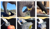 Scientists develop world’s 1st ‘elephant’s trunk-like gripper'