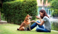 Pet spending surges during pandemic