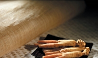 Korea Ginseng Corp. finds more evidence ginseng could help stop Alzheimer’s