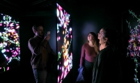 LG bets big on art to enhance brand identity