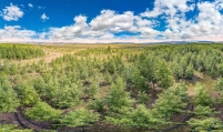 Korean Air grows forest in Mongolia