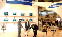 Late Samsung chairman’s Jindo dog project gets spotlight