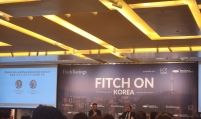 Geopolitical risks hold back South Korea's credit rating upgrade:Fitch