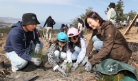 Yuhan-Kimberly’s reforestation campaign marks 40th year