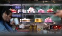 Luxury Christmas cakes stir mixed reactions over steep prices