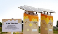 Hanwha builds Korea’s first beehive monitored by using solar energy